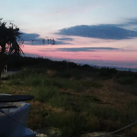 House Mare By World *